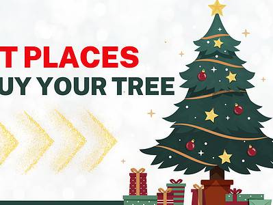 A The 8 Best Places to Purchase a Christmas Tree This Year