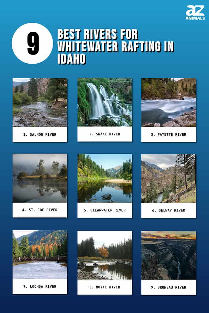 9 Best Rivers for Whitewater Rafting in Idaho