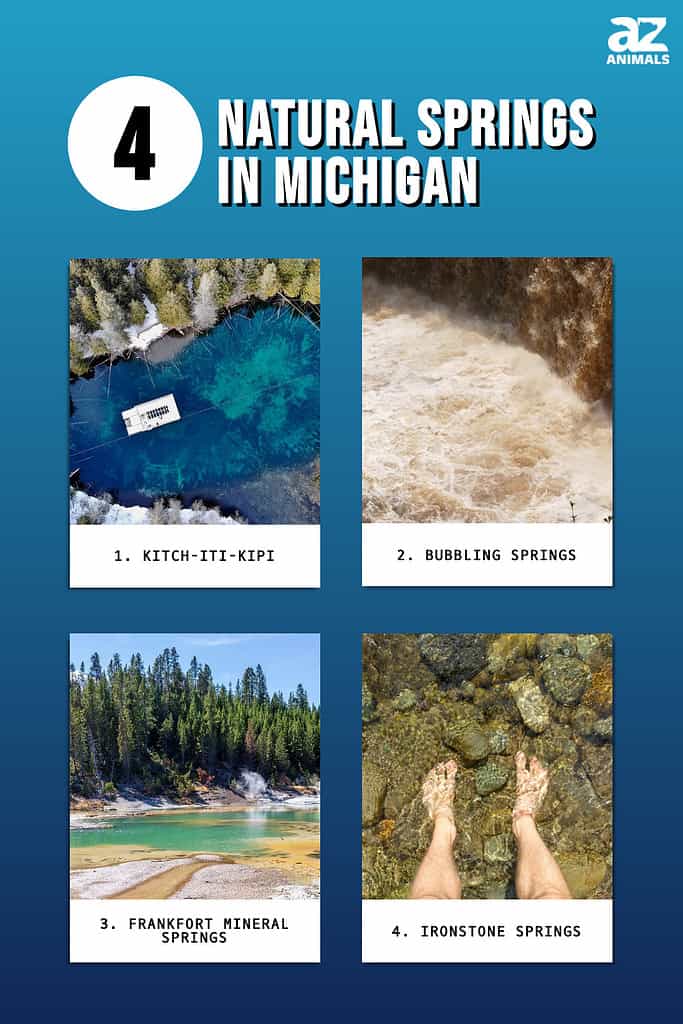 4 Natural Springs in Michigan