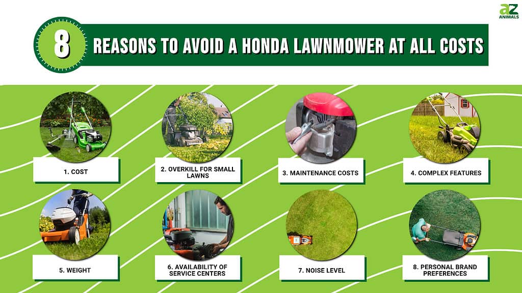 Honda lawn mower service cost new arrivals