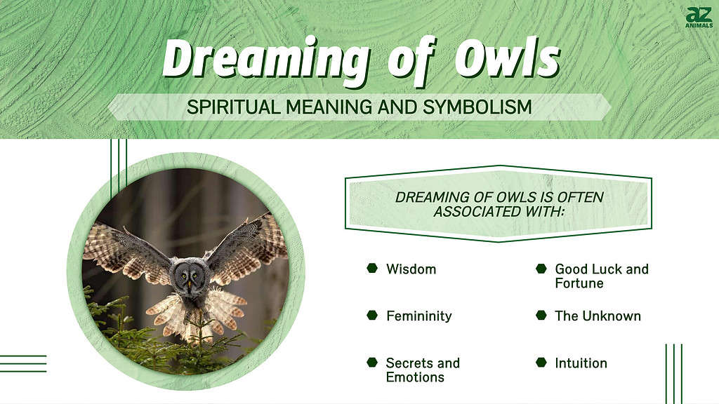 Bird of Prey Dream Meaning  Dream meanings, Dream dictionary, Spiritual  meaning of dreams