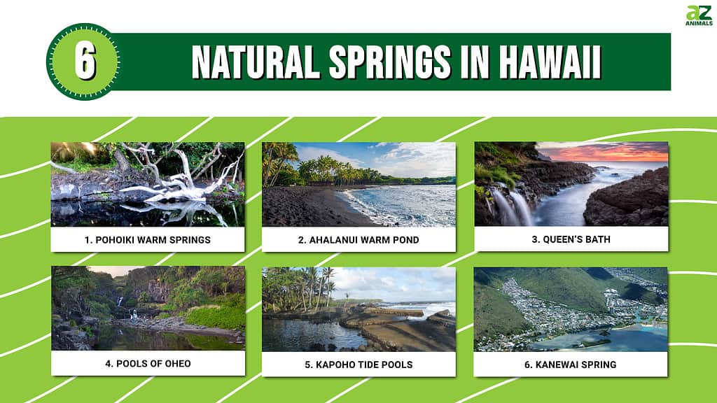 6 Natural Springs in Hawaii