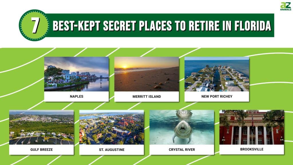 7 Best Kept Secret Places To Retire In Florida In 2024 A Z Animals   D25e5e36a00ae3884d99f19188b3b52335d86d11 1024x576 