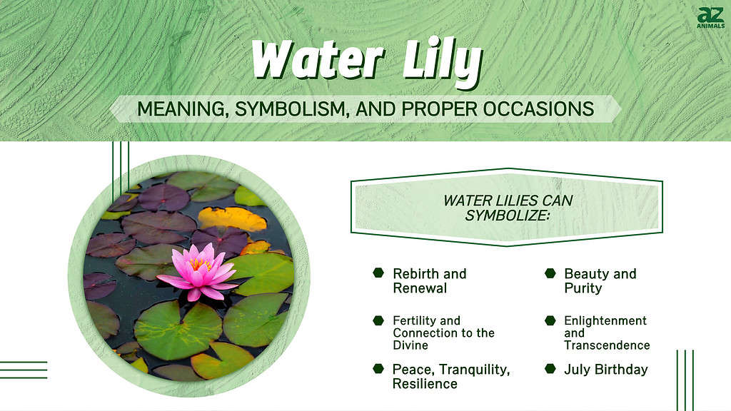 The mythical flower of Lirolay is one of the many utility items