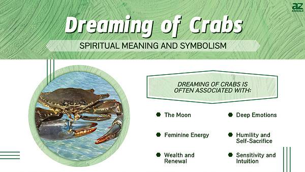 Dreaming of Crabs: Discover the Spiritual Meaning and Interpretation ...