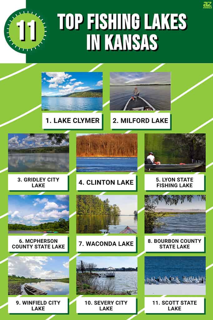 11 Top Fishing Lakes in Kansas