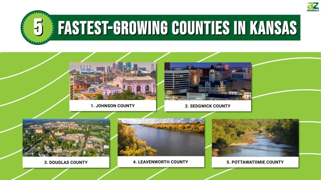 5 Fastest-Growing Counties in Kansas