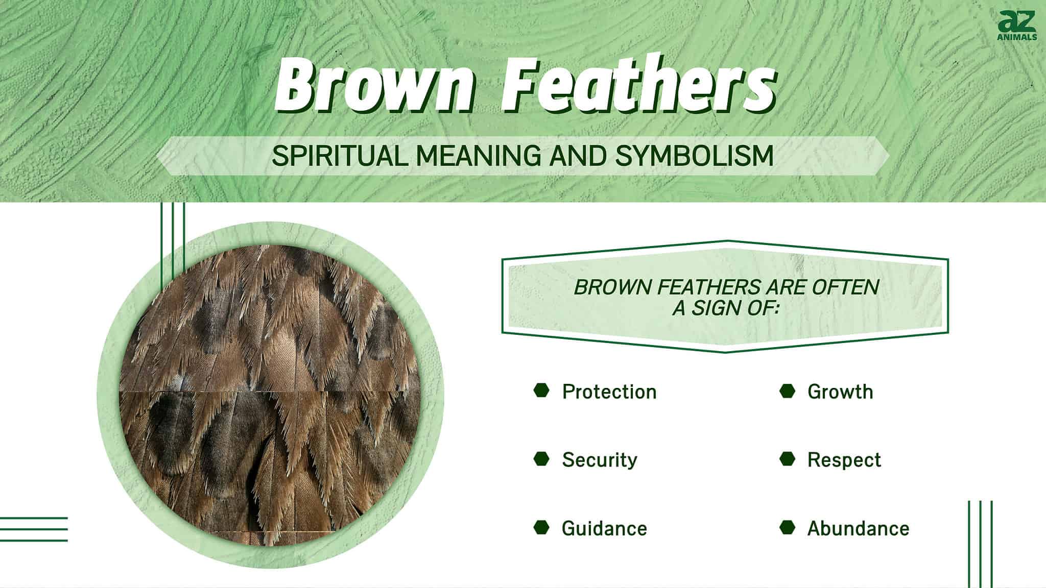 The Spiritual Meaning and Symbolism of Brown Feathers AZ Animals
