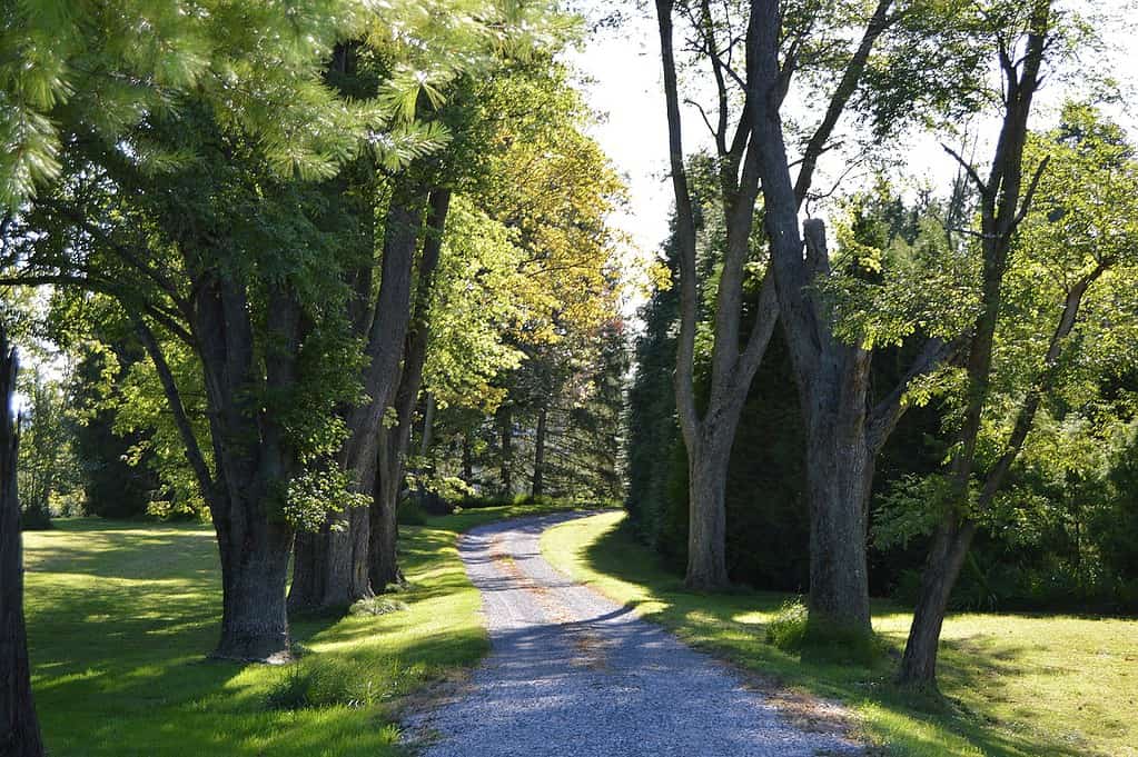 Driveway to The Hermitage, located along Kabletown Road south of Charles Town in Jefferson County, West Virginia, United States. Home to R. Preston Chew, the farmstead is listed on the National Register of Historic Places.