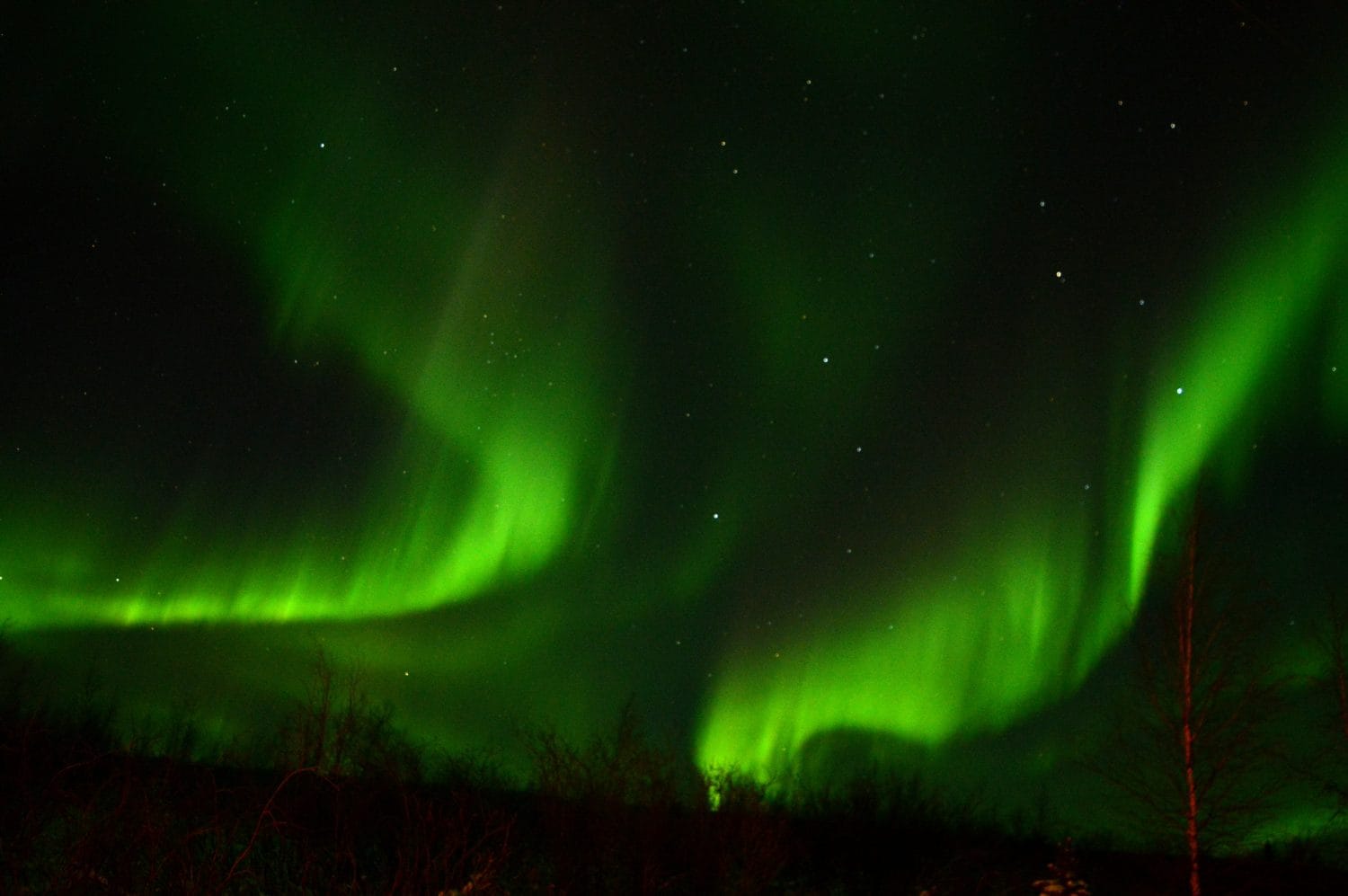 The northern lights spiraling above the Inuvik - Tuktoyaktuk Highway.