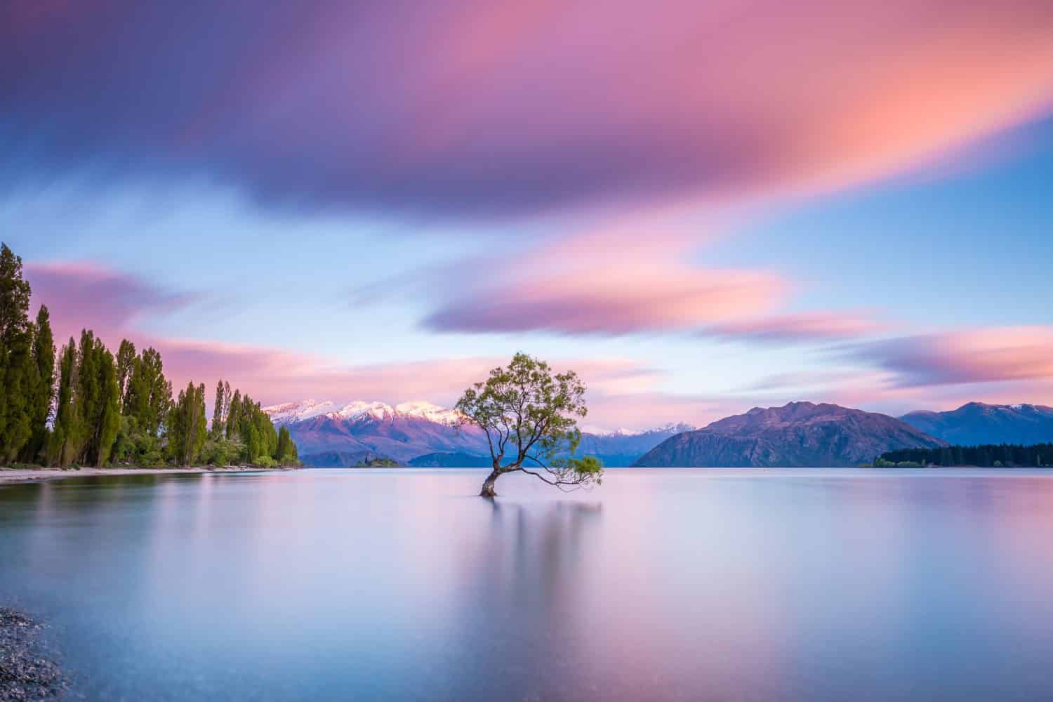 That Wanaka Tree at sunrise | Wanaka, NEW ZEALAND