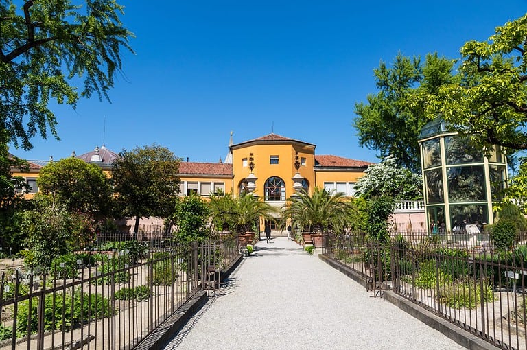 Botanical garden in Padua, the oldest in the world. Italy