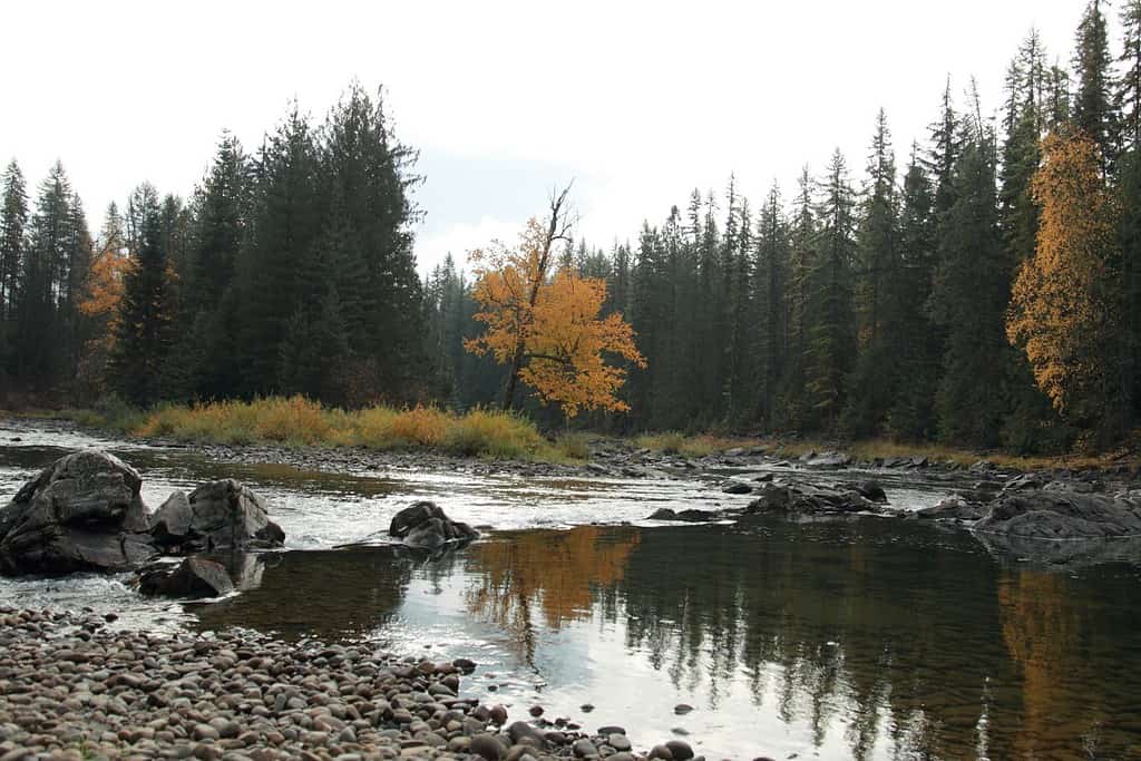 Moyie River in North Idaho