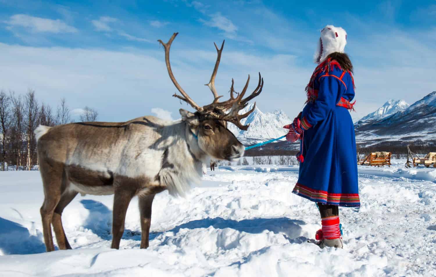Northern Norway, a traditional dressed Sami woman .Tromso Lapland