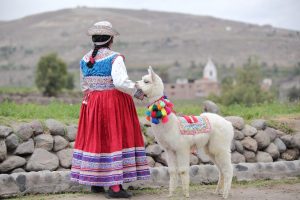 15 Interesting and Fun Facts You Didn’t Know About Peru Picture