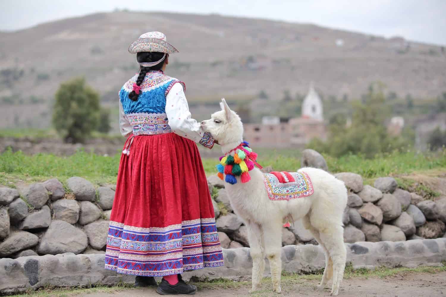 Traditional peruvian women with Llama from Arequipa