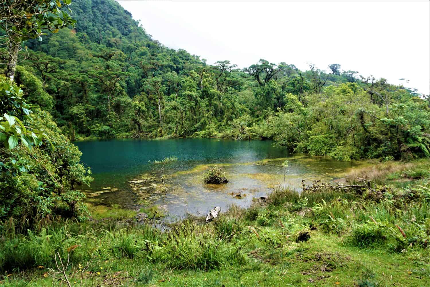 Beautiful Pozo Verde in Juan Castro Blanco National Park