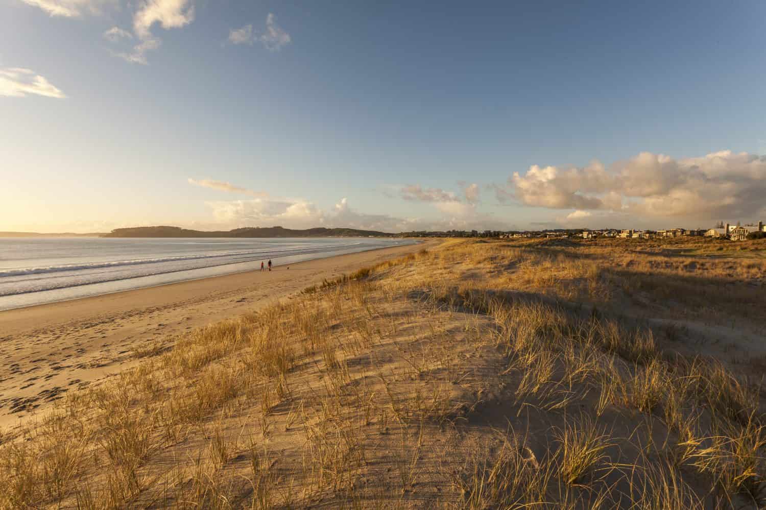 Omaha Beach, New Zealand/ sun up at Omaha beach one; of New Zealand's most popular holiday destinations