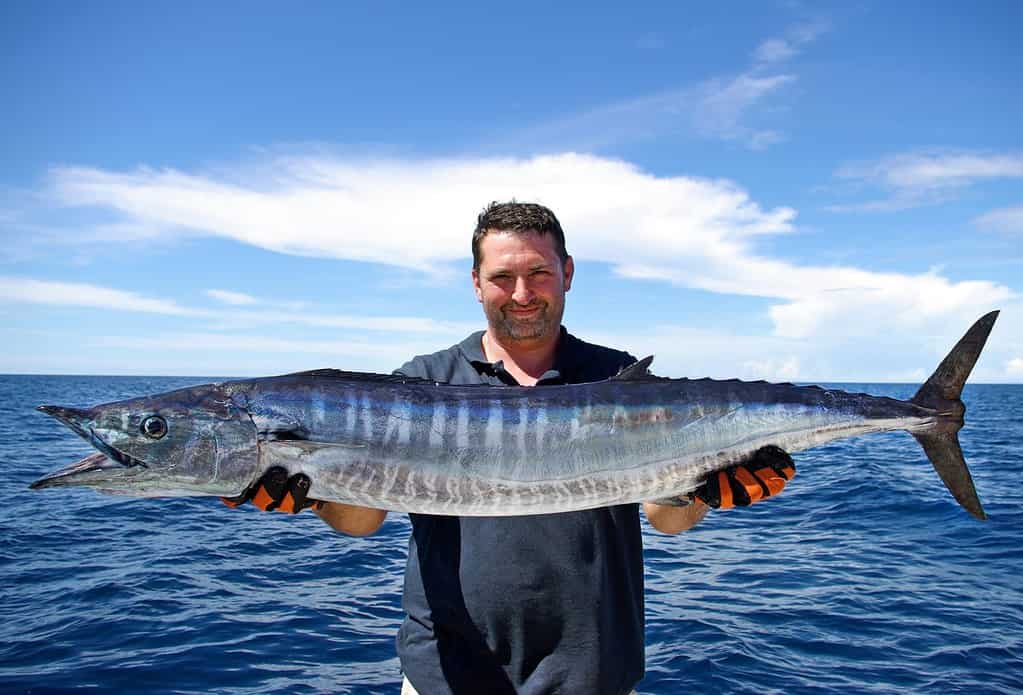 Lucky fisherman holding a beautiful wahoo fish