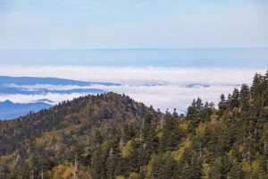 How Tall Is Tennessee’s Mount LeConte? Picture