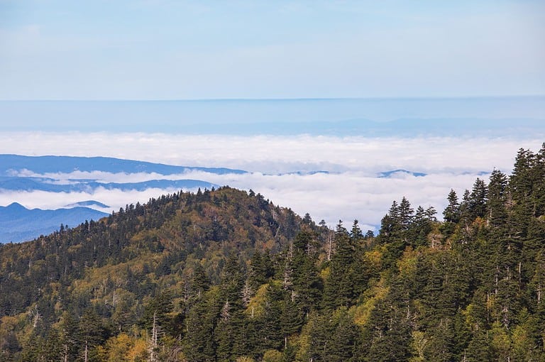 Scenics and plants in the Great Smoky Mountains National Park from Alum Cave trailhead to Mount Le Conte