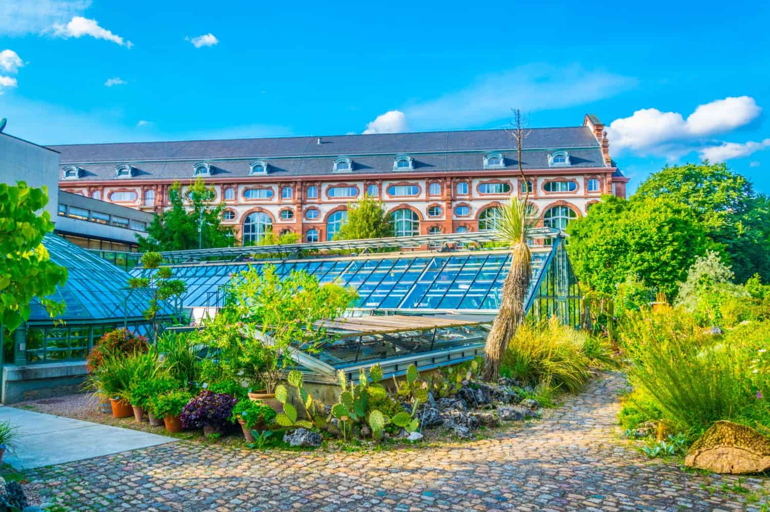 Botanical garden in Basel, Switzerland