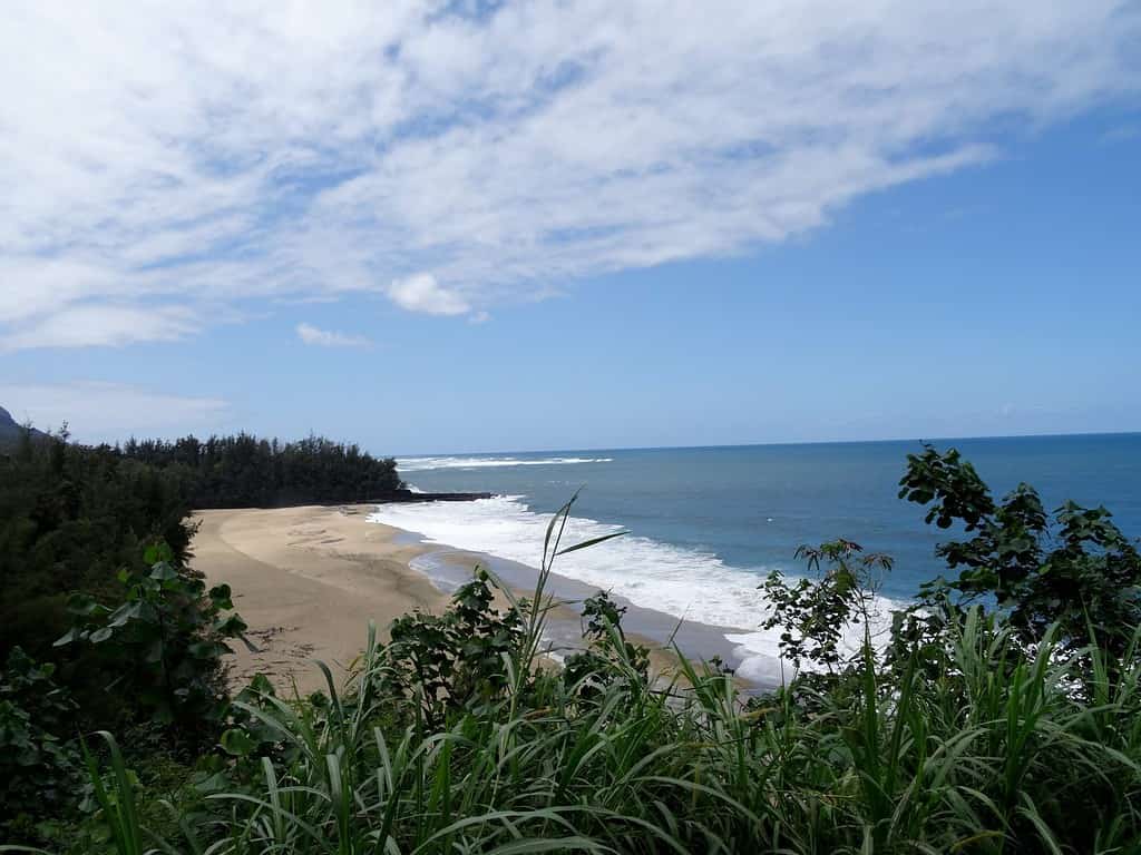 Hawaii Rivers Discover the 11 Longest and Most Important Rivers and Streams in Hawaii ...
