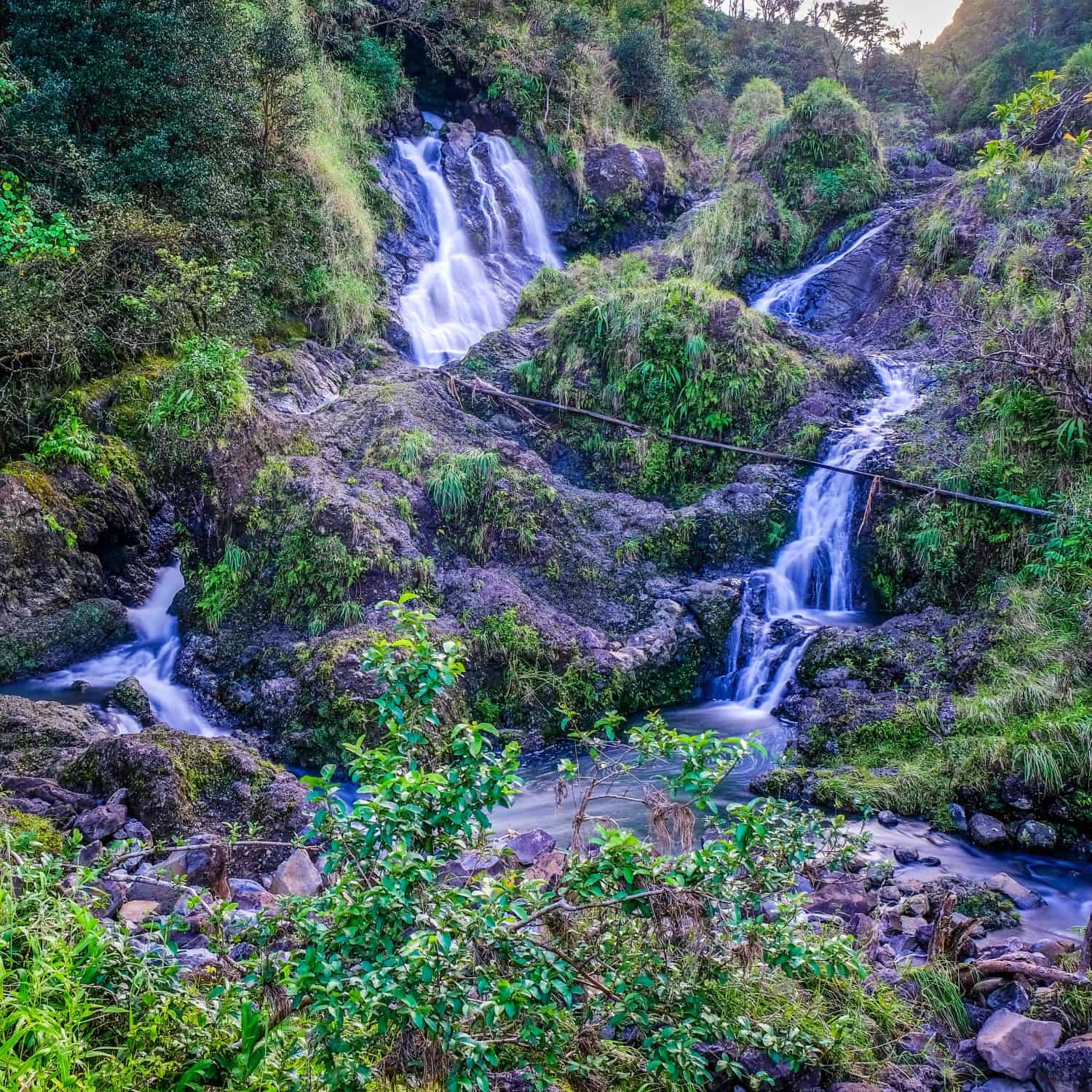 The beautiful Hanawi Falls waterfall on the Road to Hana on Maui, Hawaii, with lush vegetation covering lava rock.