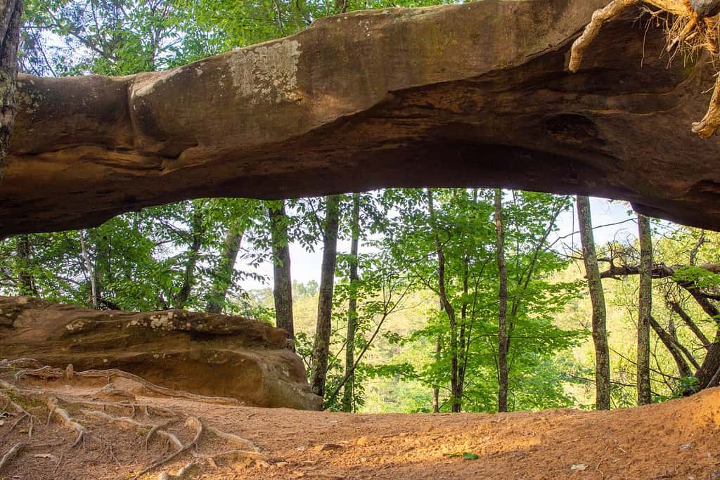 Princess Arch in Red River Gorge during sunset