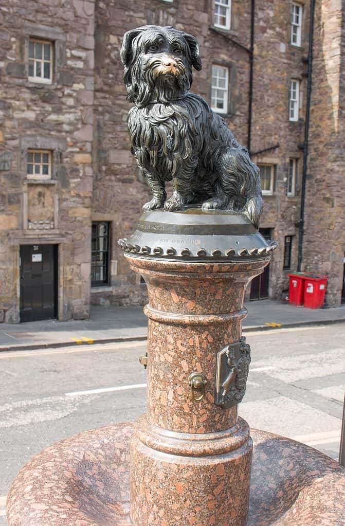 Greyfriars Bobby Fountain Memorial Edinburgh Scotland