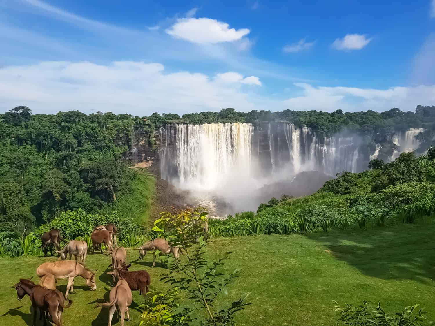View of the Kalandula waterfalls on Lucala river, Donkeys grazing in a field of herbs, tropical forest and cloudy sky as background, in Angola