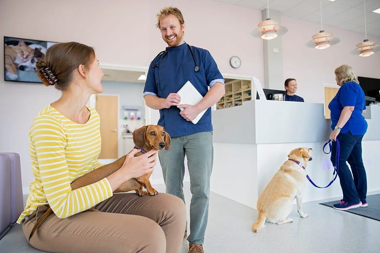 Pet dog owner in vet surgery waiting room reception