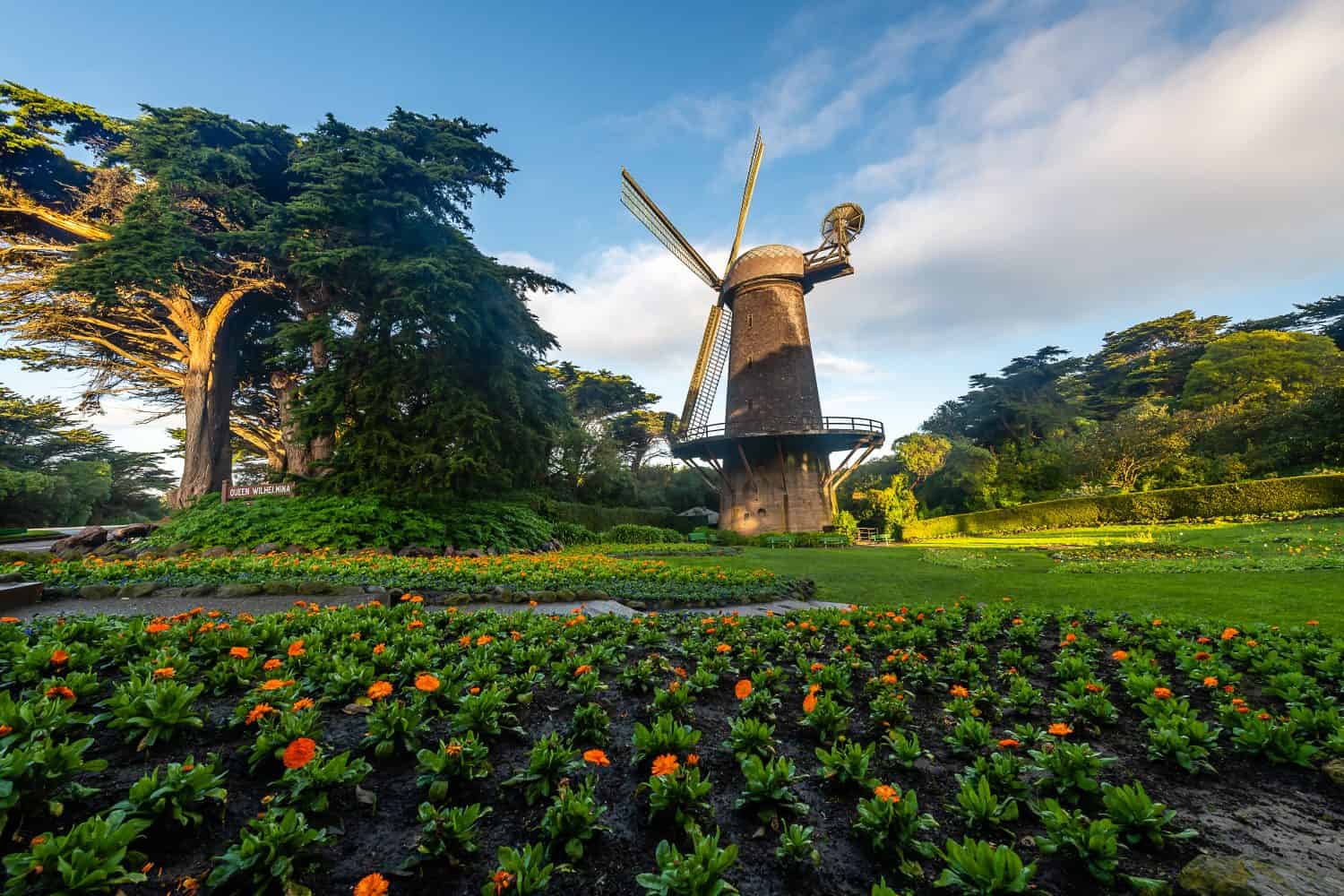 Dutch Windmill of Golden Gate Park