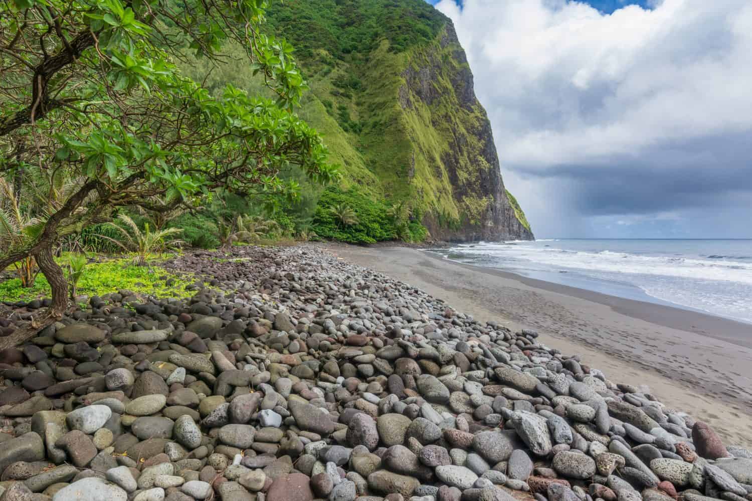 Remote black sand beach in Waimanu Valley, Big Island, Hawai'i, US