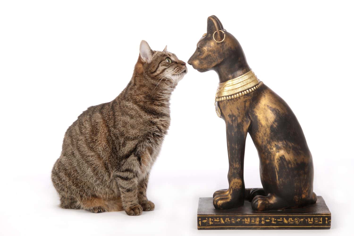 replica of a statue of the Egyptian cat goddess Bastet in front of a real European tabby cat as comparison on studio isolated white background
