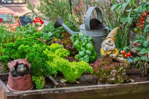 Square Foot Gardening Method: The Ultimate Way to Make Use of Limited Space Picture