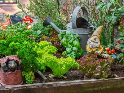 A Square Foot Gardening Method: The Ultimate Way to Make Use of Limited Space