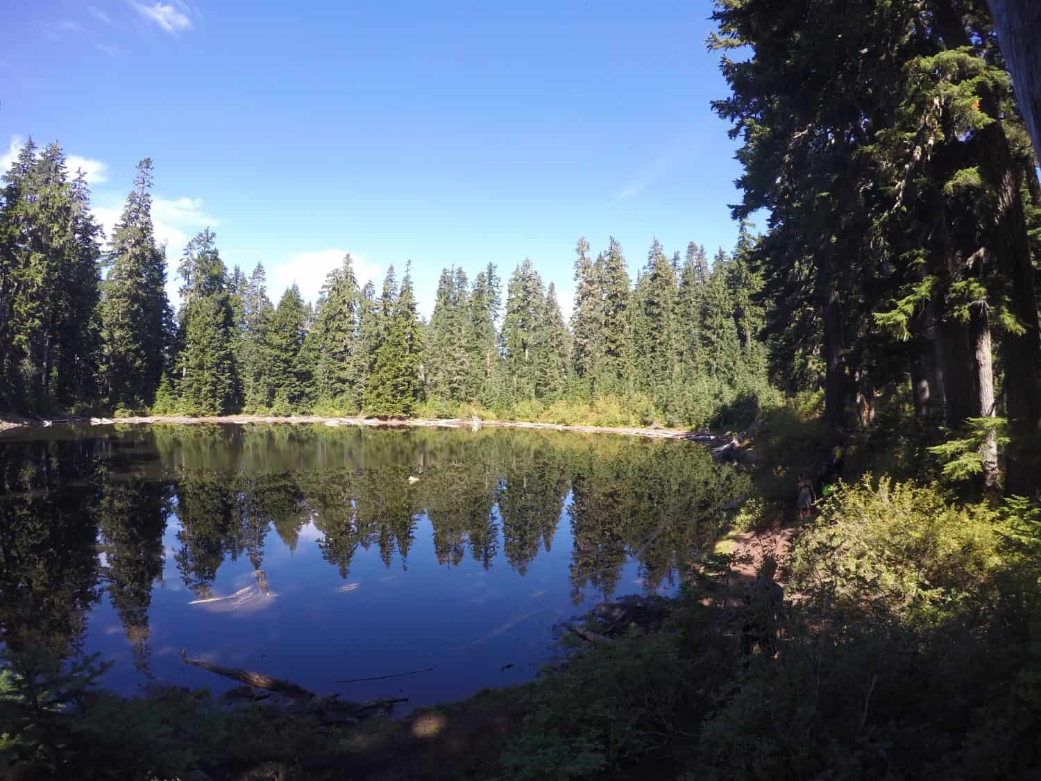 Pond that leads to Blanca Lake, Washington 