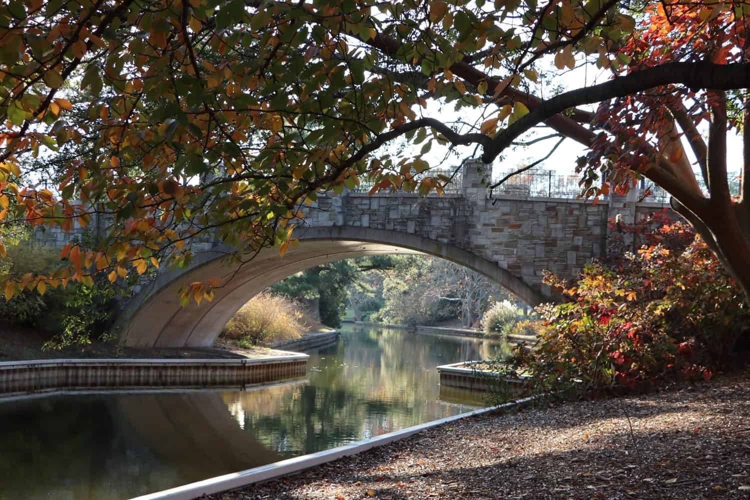 Autumn view under the stone bridge at Norfolk Botanical Gardens