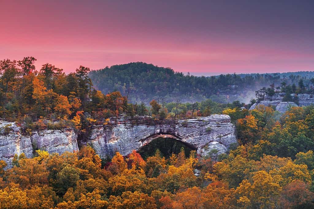 Daniel Boone National Forest, Kentucky, USA at the Natural Arch at dusk in autumn.