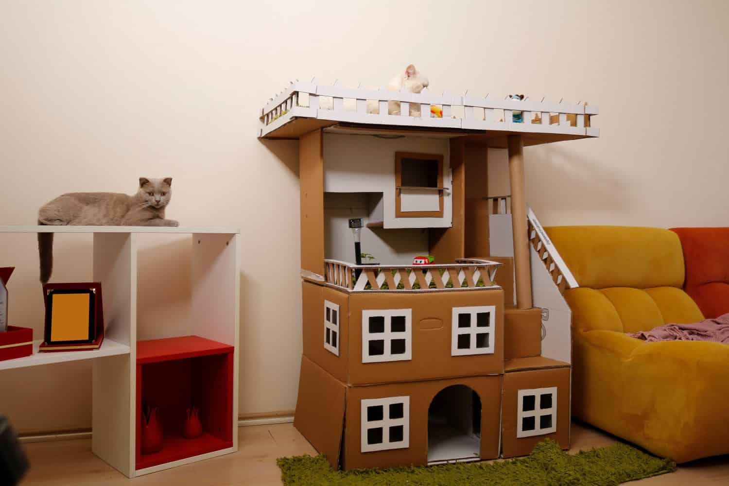 handmade cat house with using cardboard