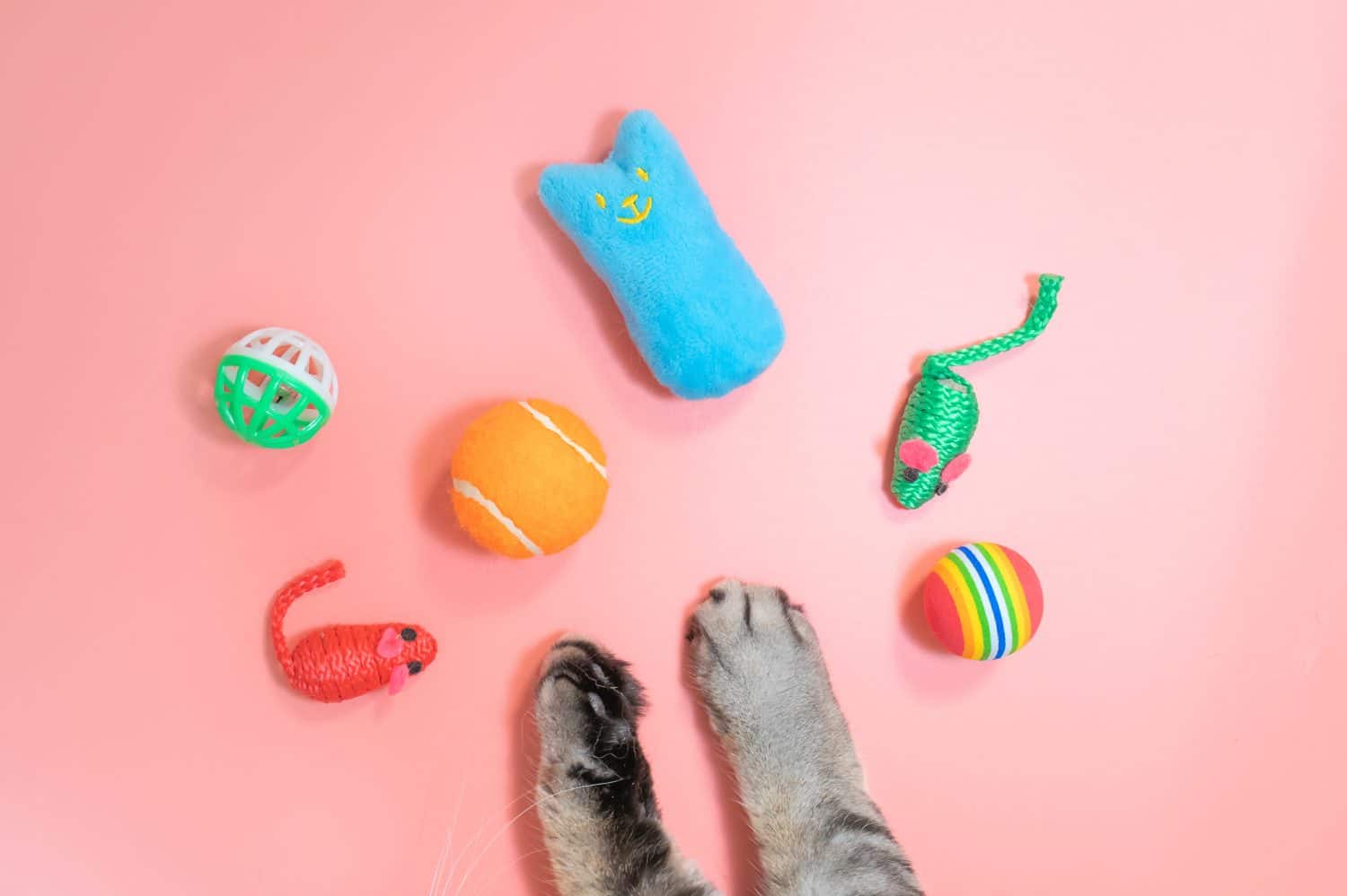 Gray cat paws and accessories for pets: ball, mice, comb. Yellow background, copy space, top view. Pet supplies concept.	