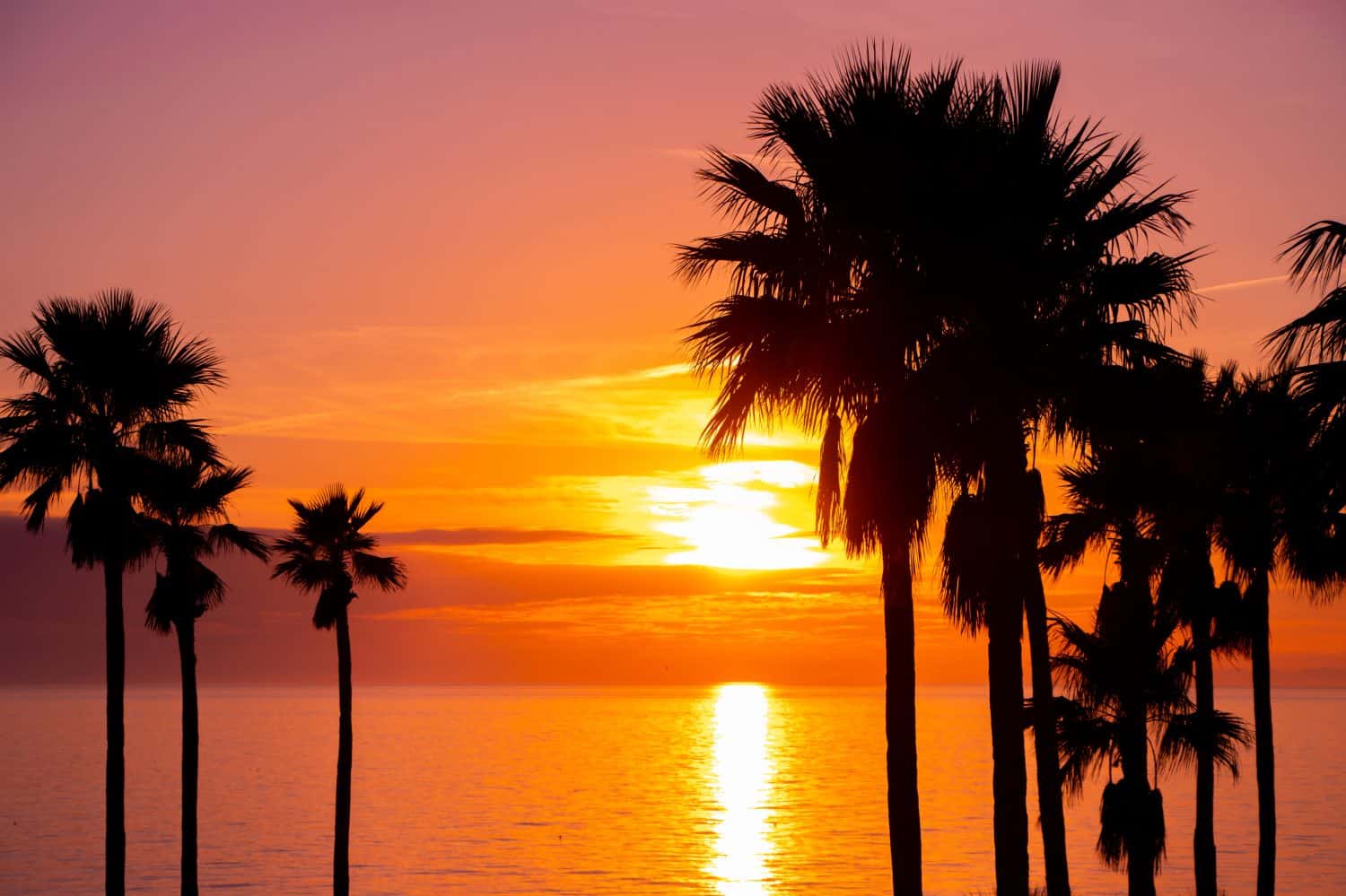 Sunset on Anna Maria Island, Florida