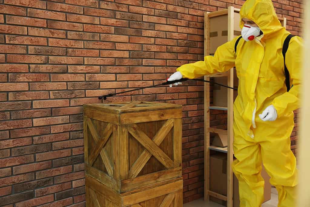 Pest control worker spraying pesticide on wooden crate indoors