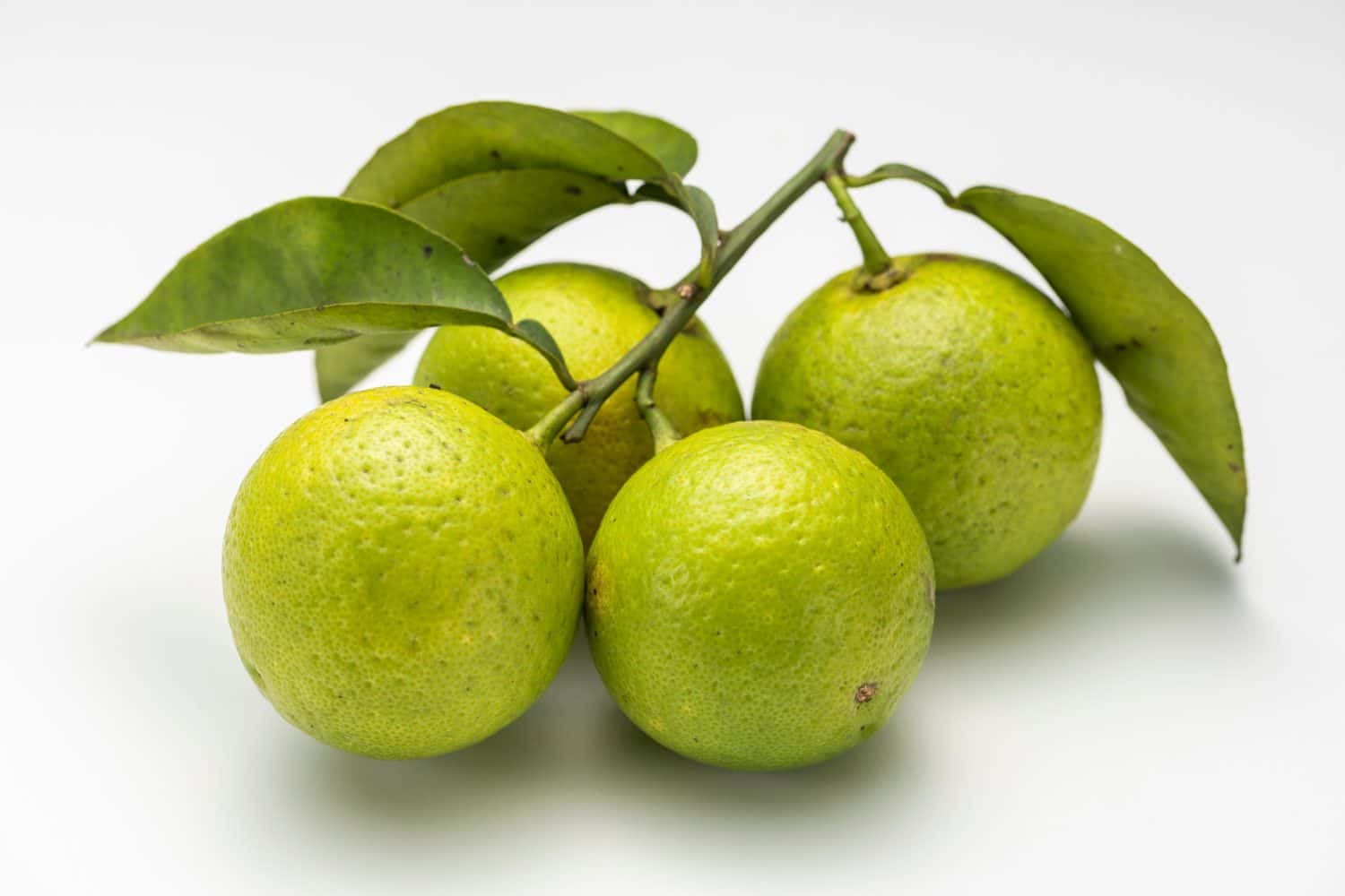 Kabosu is a citrus fruit of Oita prefecture in Japan. 