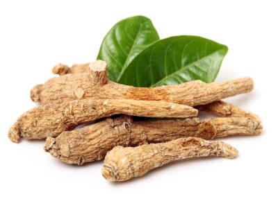 A Ginseng Prices in 2024: Cost Per Pound and What to Expect When Buying
