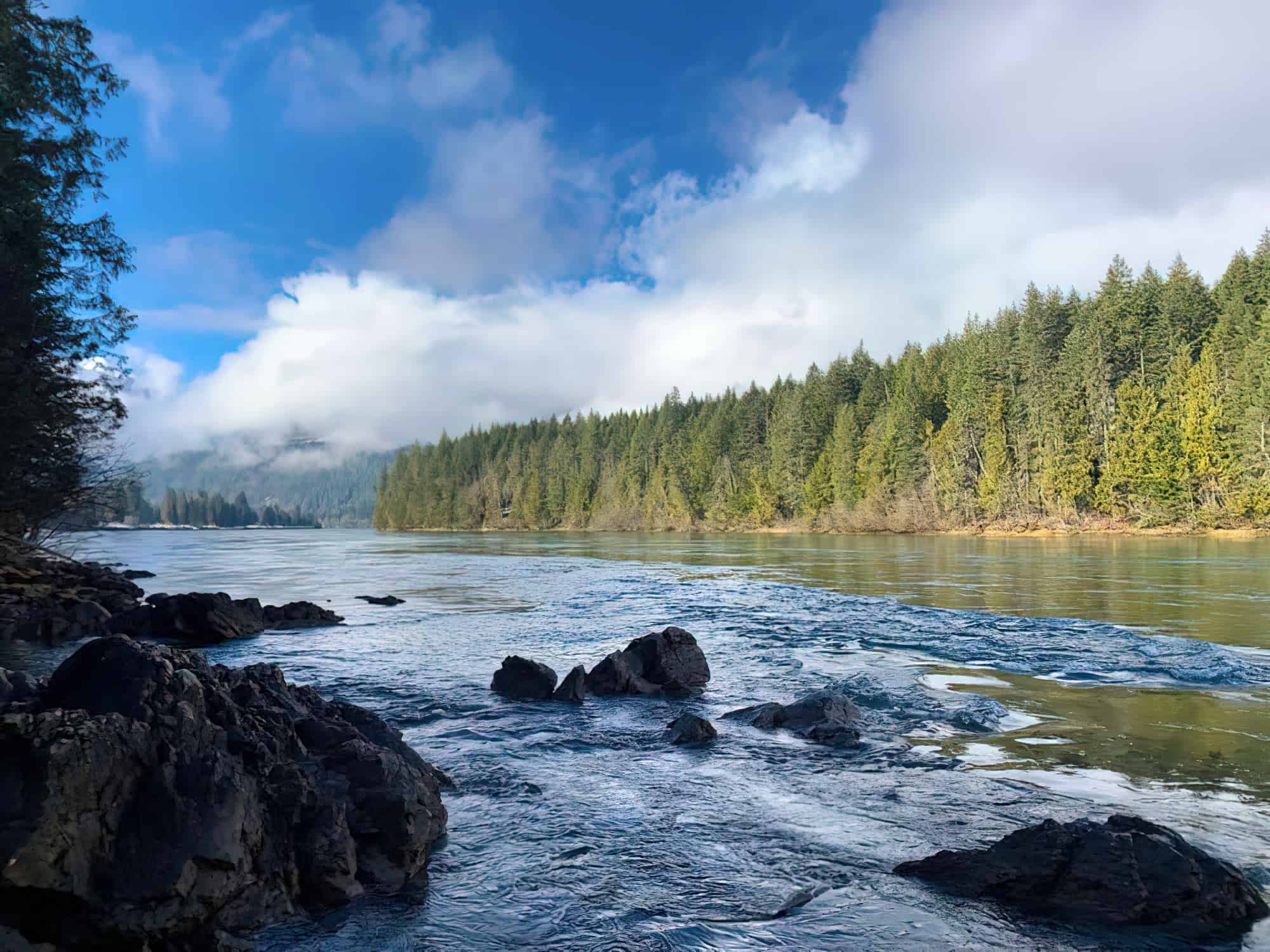 The 5 Largest Man-Made Lakes In British Columbia - A-Z Animals