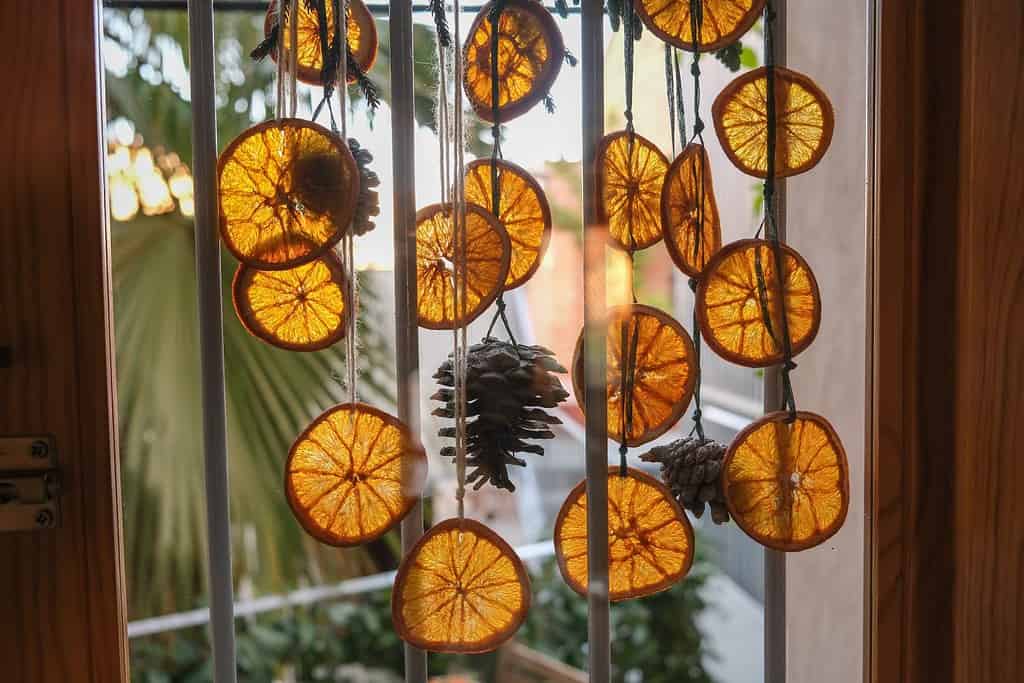 Close-up of handmade garland out of dried orange slices, pinecones on a glass door shot in counter daylight