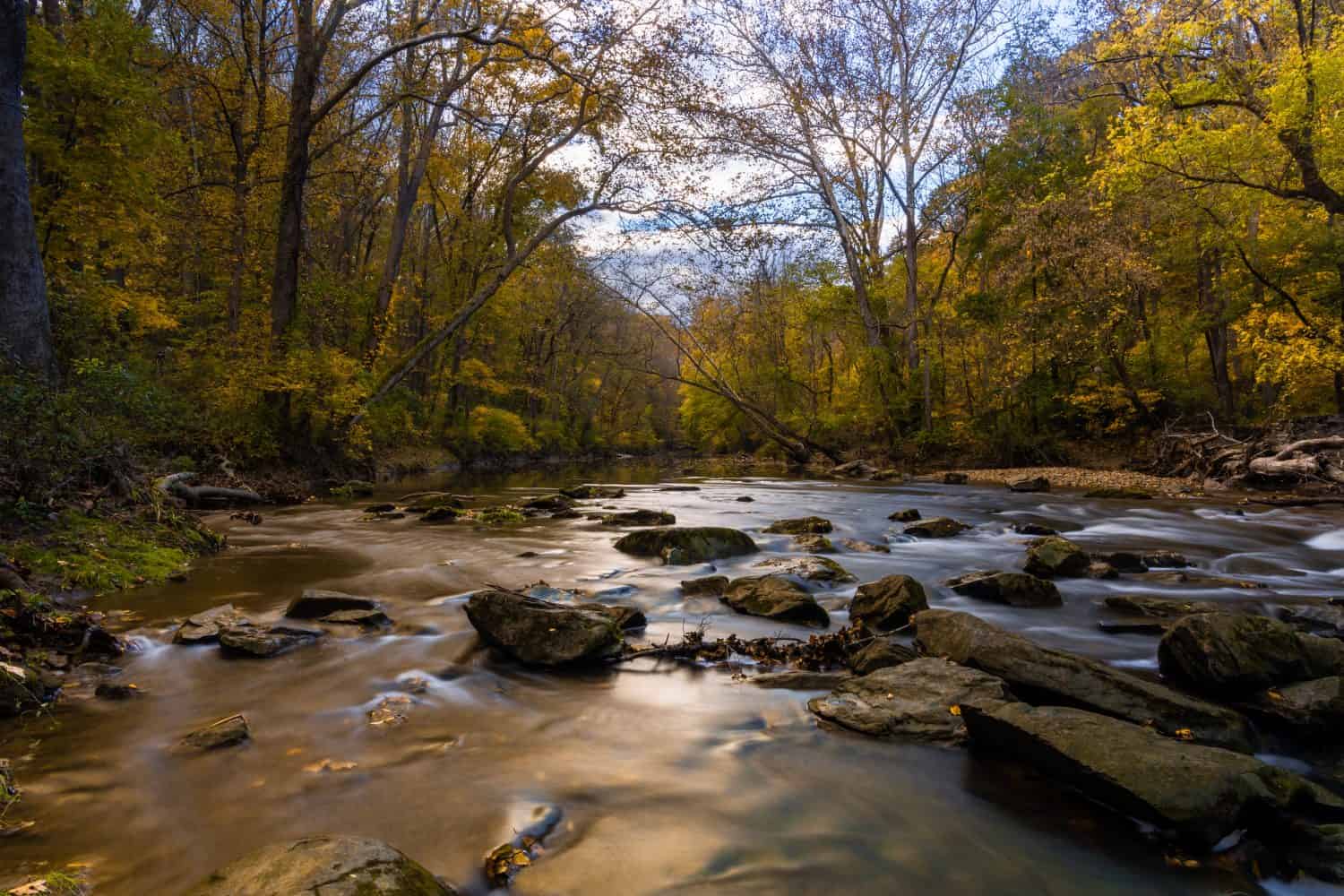 A scenic view of a river flowing in the forest in White Clay Creek State Park, Newark, Delaware