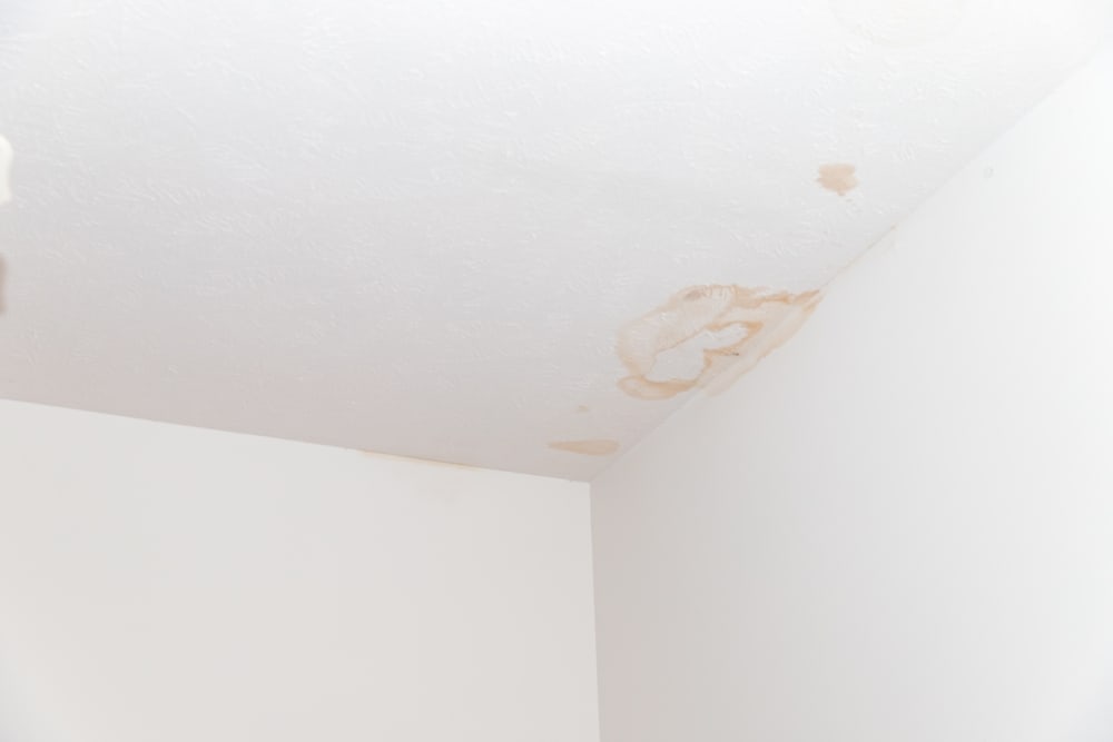 Stains on ceiling and wall from water leak